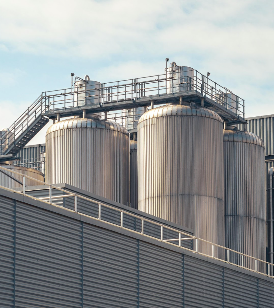 Behind the Work: A Day in the Life of a Sustainability Consultant at BSD