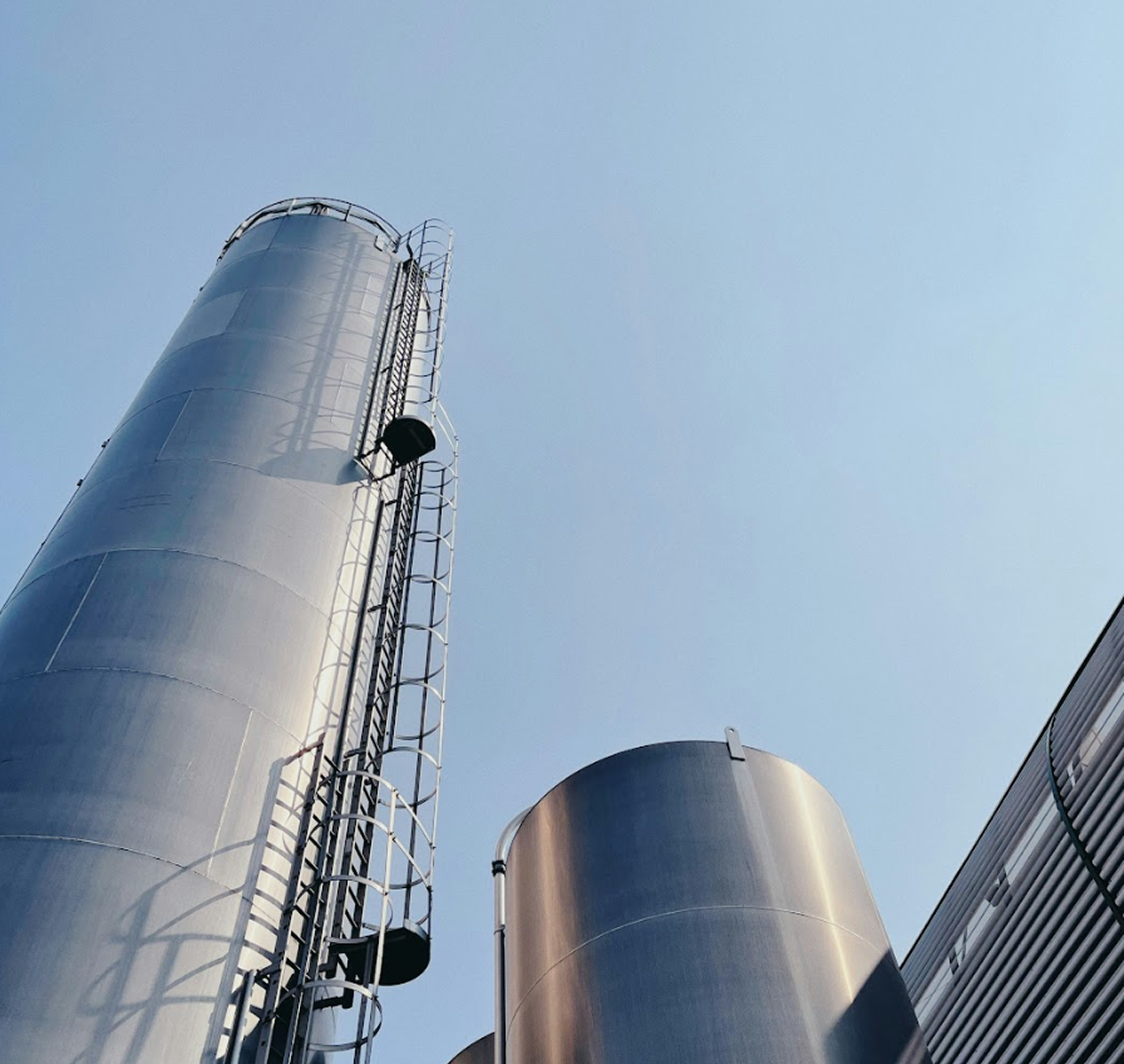 Carbon & ESG Advisory